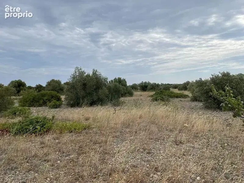Terrain 10 558 m² à vendre à Saint-Hippolyte (66510) - photo 4