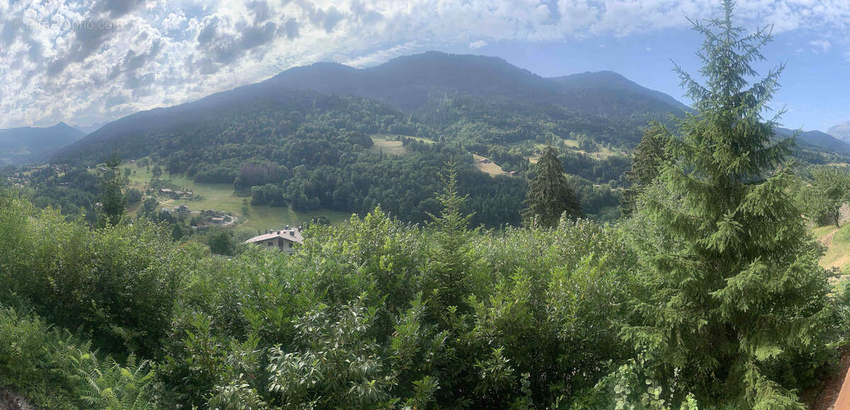 Chalet 8 pièces, vue carte postale sur les Aravis - photo 4