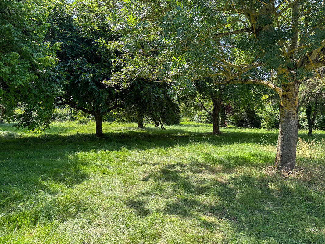 Maison avec grand parc - photo 14