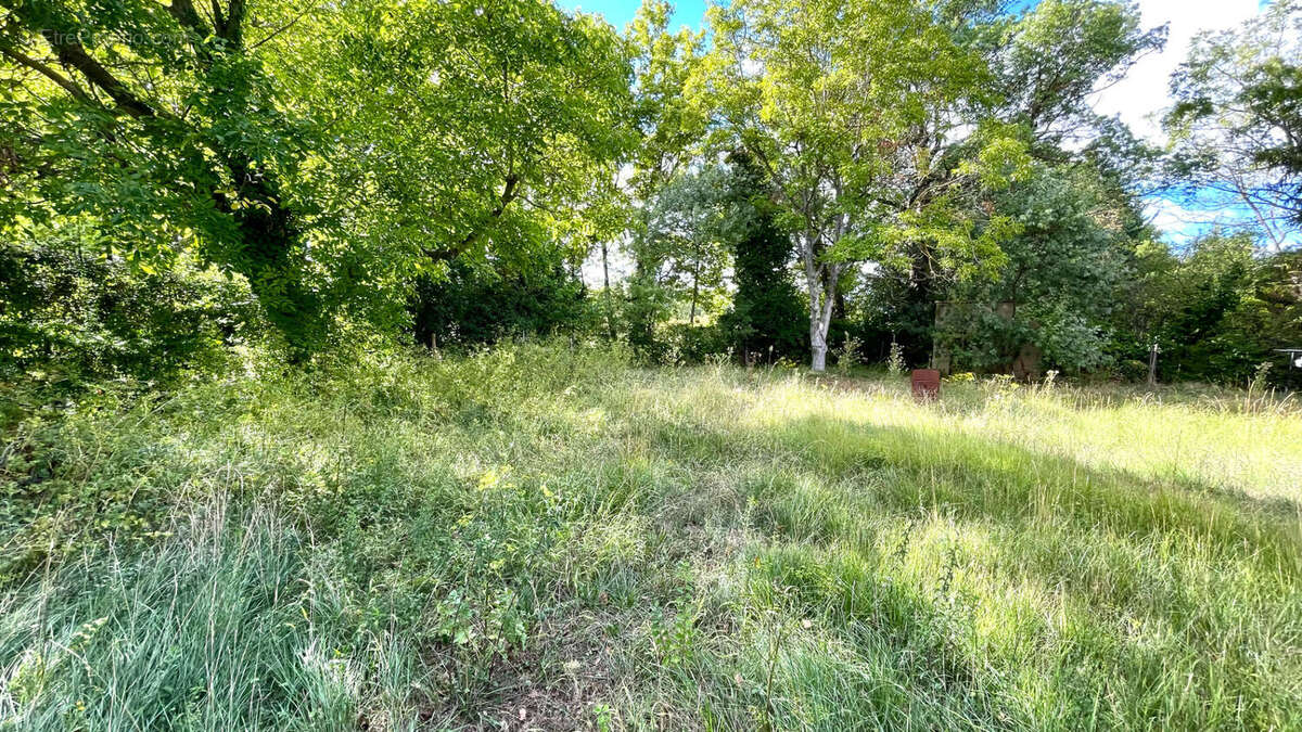 Terrain à ENTRAIGUES-SUR-LA-SORGUE