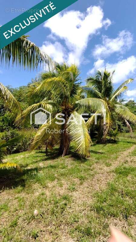 Photo 6 - Maison à MATOURY