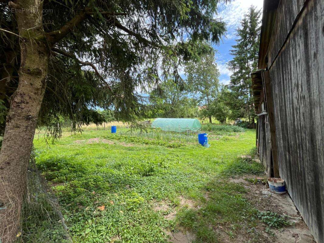 Maison à vendre 8 pièces BULT (88700) - photo 5