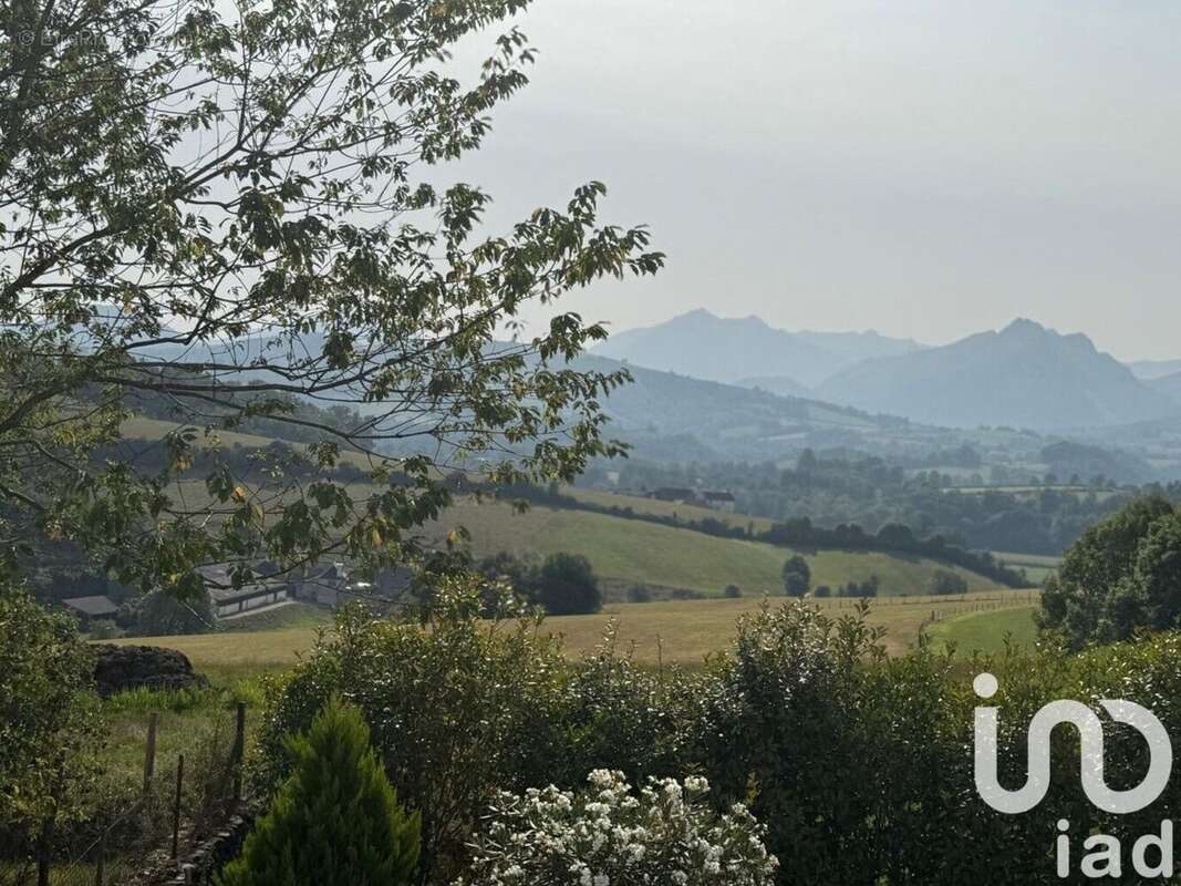 Photo 4 - Maison à LANNE-EN-BARETOUS