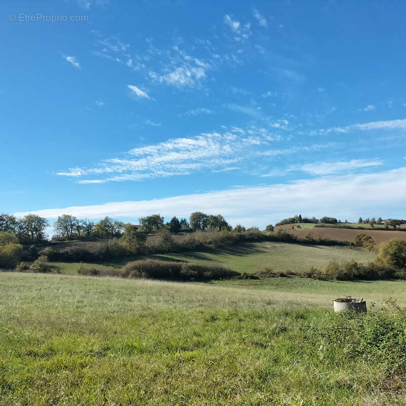 Maison à SAUVETERRE