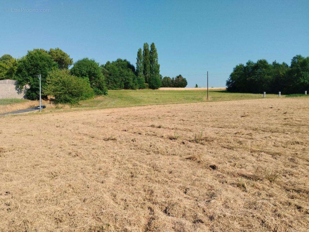 Terrain 2 546 m² à vendre à Merignac (17210) - photo 2