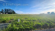 Terrain à MORNAC-SUR-SEUDRE