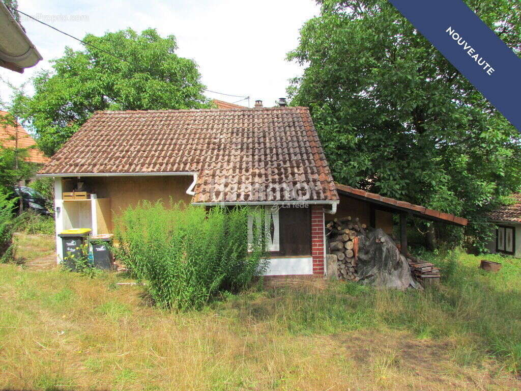 Maison avec dépendances sur 35 ares - photo 13