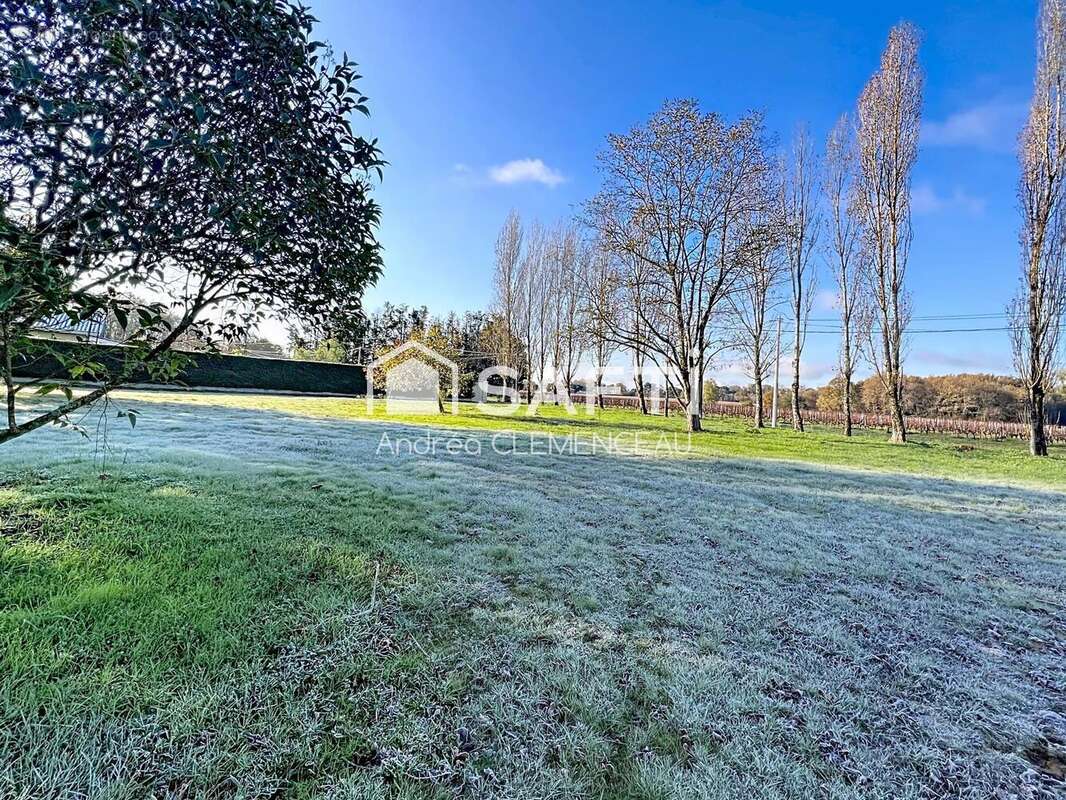 Photo 2 - Terrain à PUGNAC