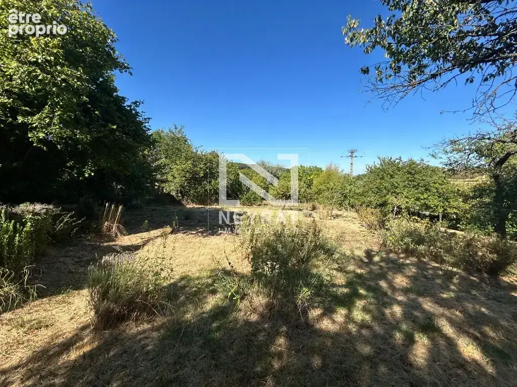 Grande maison en pierres avec jardin et dépendances - photo 6