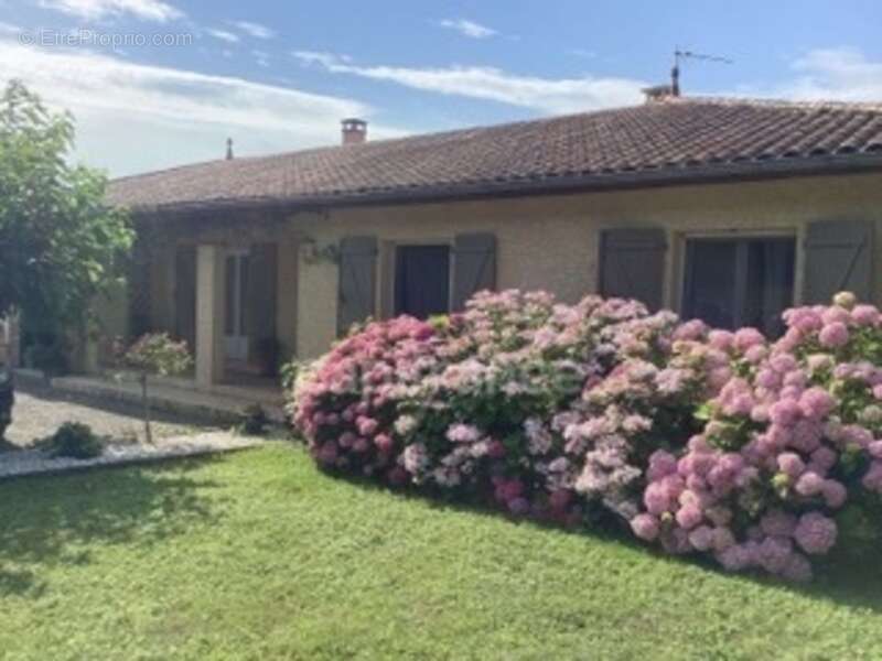 Maison à VILLENEUVE-DE-RIVIERE