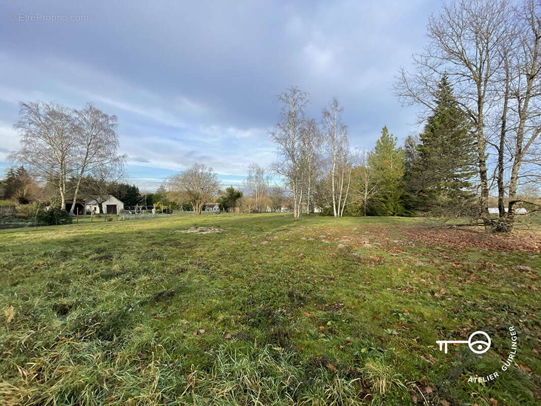 Terrain à MONTRIEUX-EN-SOLOGNE