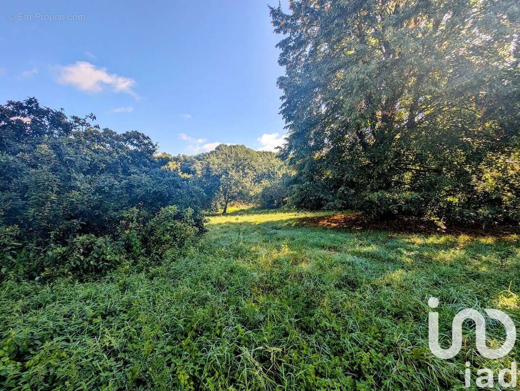 Photo 3 - Maison à SAINT-VINCENT-DU-LOROUER