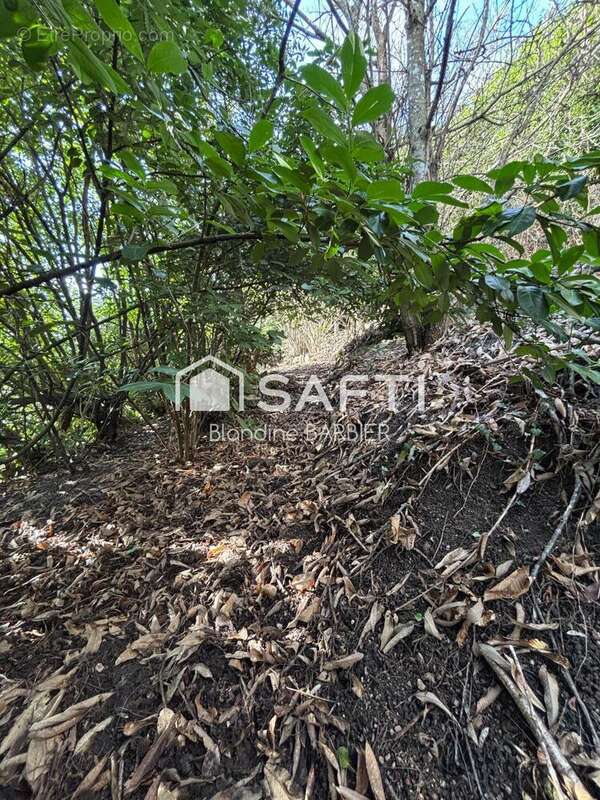 Photo 2 - Terrain à LE CREUSOT