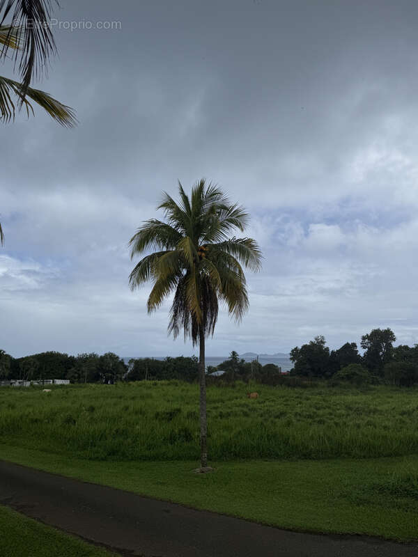 Terrain à CAPESTERRE-BELLE-EAU