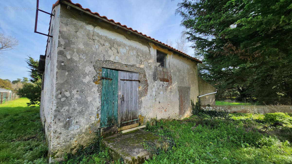 Terrain à SAINT-HILAIRE-DE-RIEZ