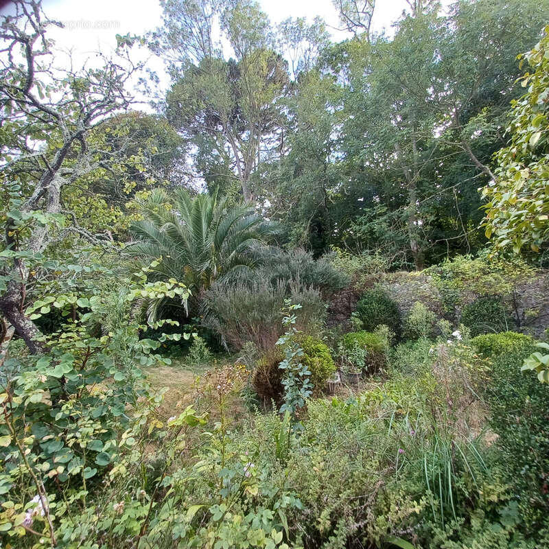 Maison à SAINT-POL-DE-LEON