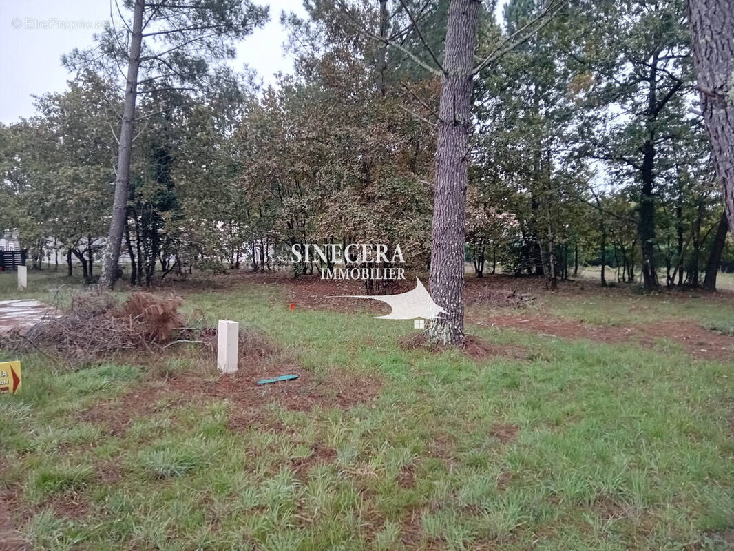 Terrain à GUJAN-MESTRAS