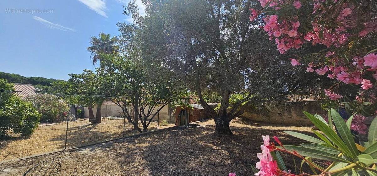 Terrain à CARRY-LE-ROUET