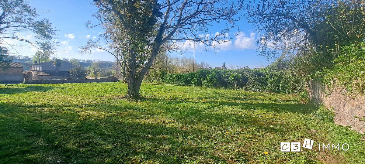 Terrain à SAINT-JULIEN-SUR-GARONNE