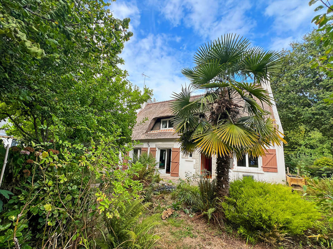 Maison 118m² à moëlan-sur-mer - photo 9