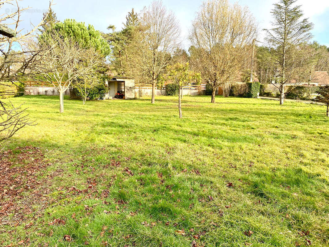 Maison à PRUNIERS-EN-SOLOGNE