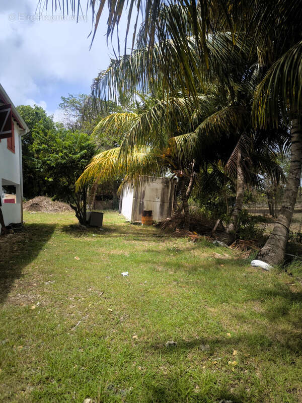 Maison 3 pièces avec grand jardin à Petit-Canal (Secteur Les Mangles) - photo 10