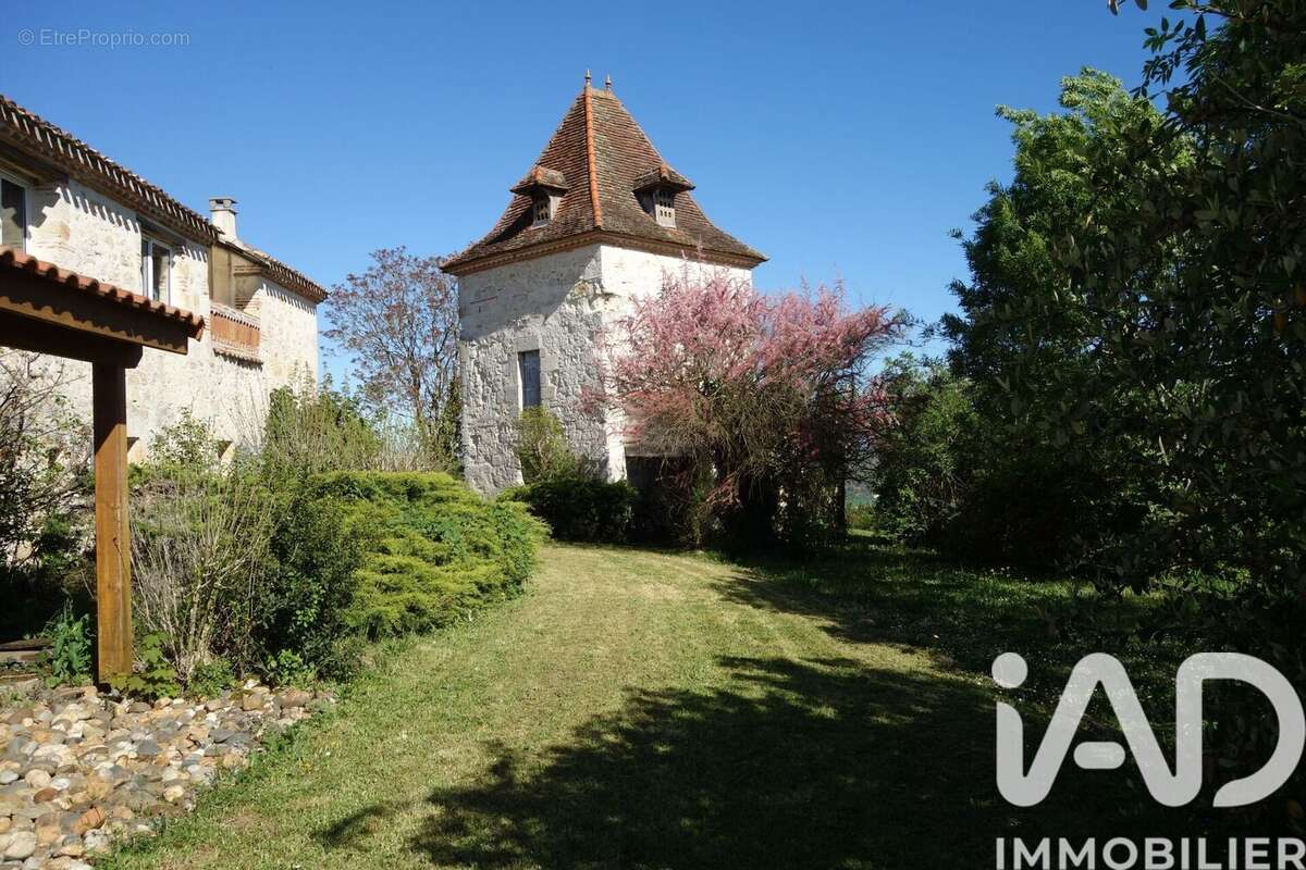 Maison 360 m² à Castelculier  - photo 7