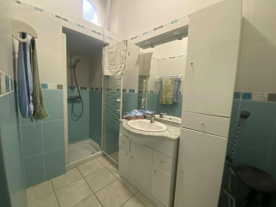 IMG8329 - Maison à SAINT-CYPRIEN