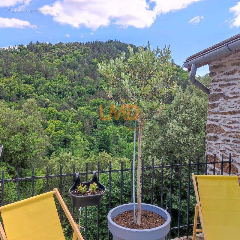 Mas en Cévennes - photo 9