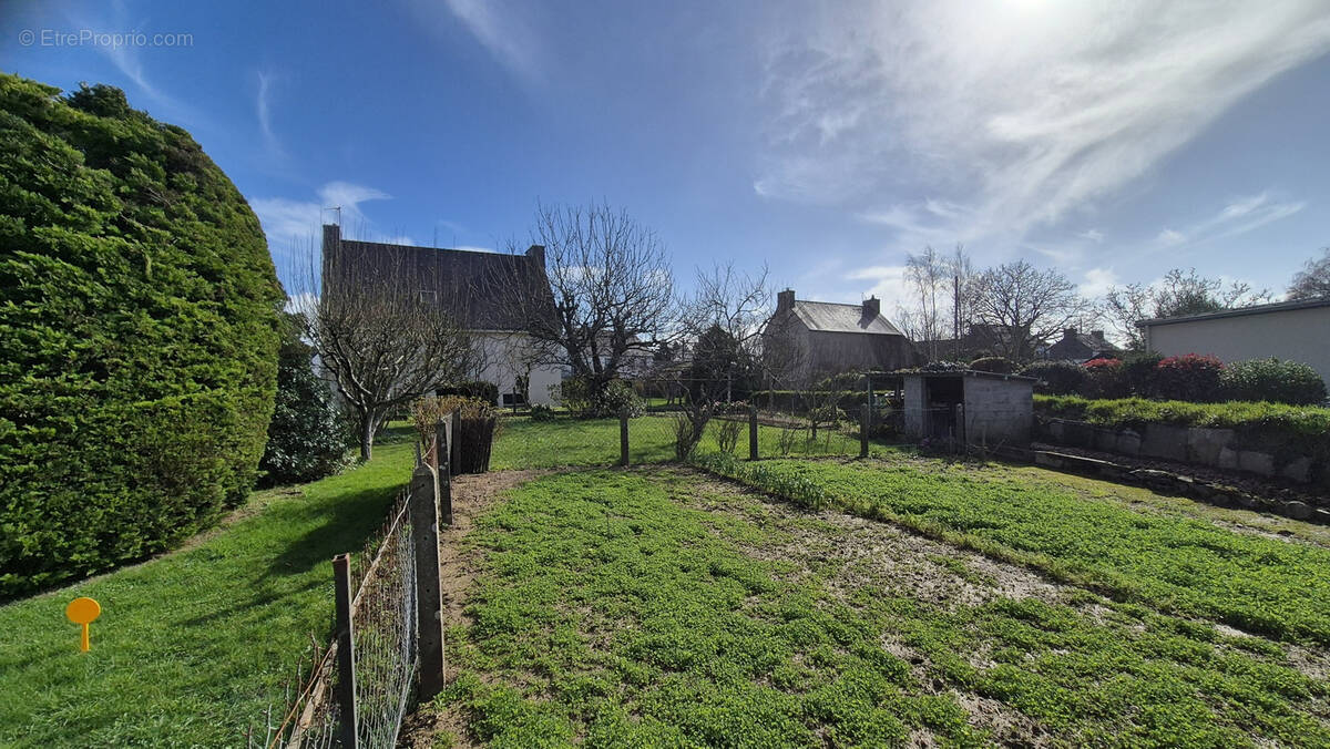 Terrain à CLOHARS-CARNOET