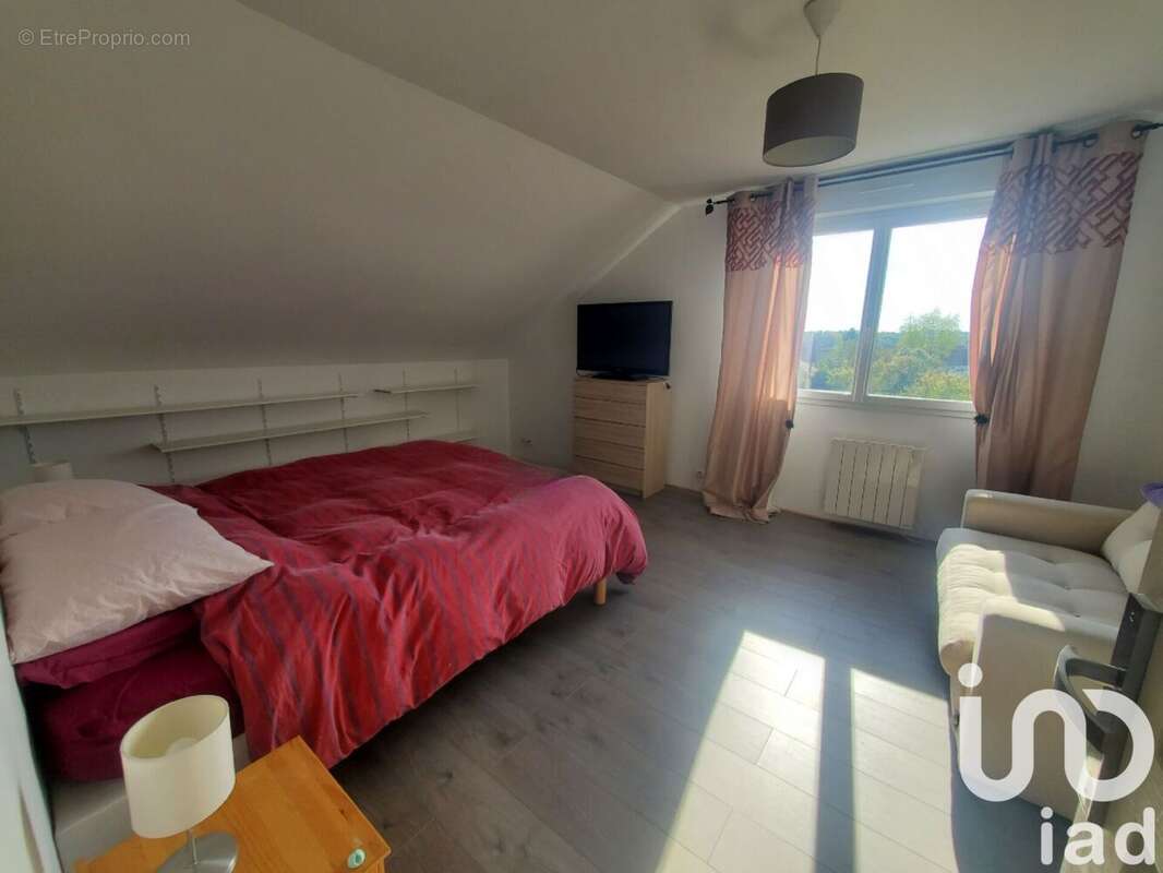 Photo 7 - Maison à OUSSON-SUR-LOIRE