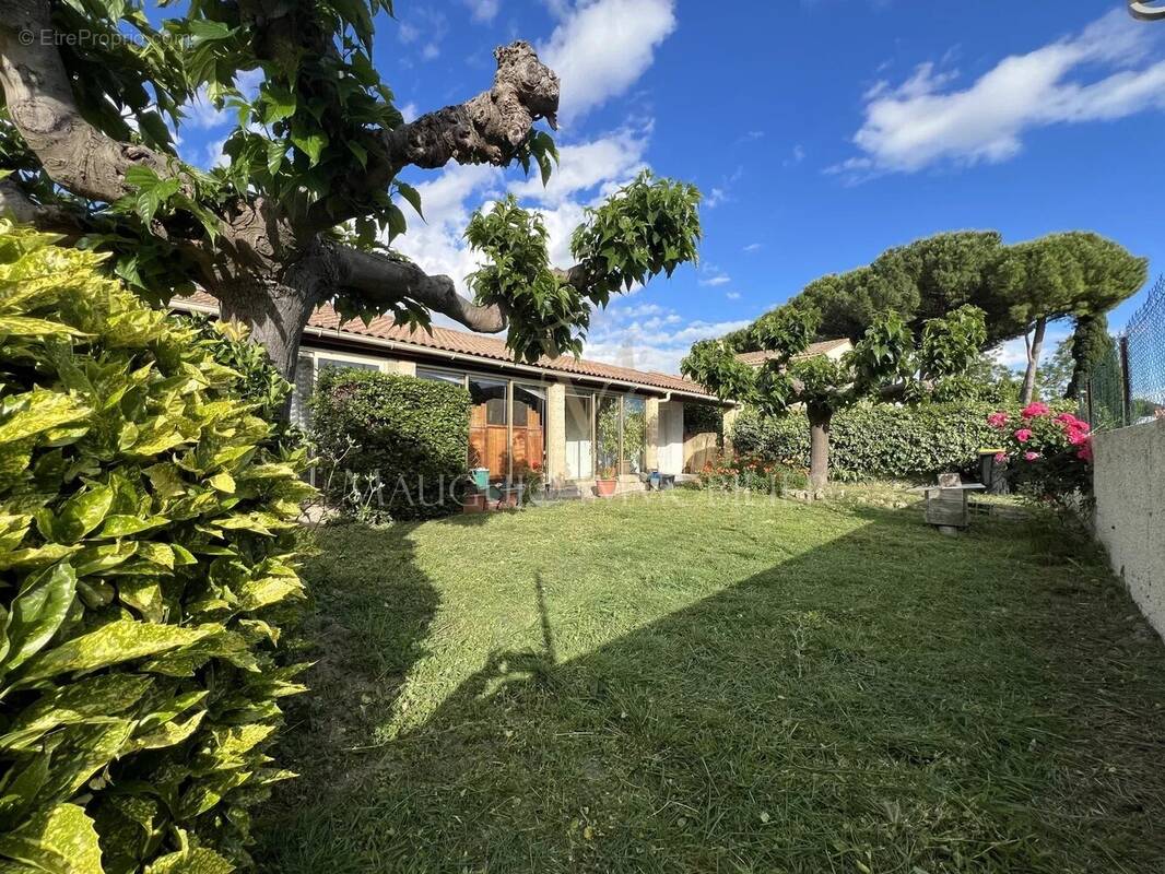 Maison à CANDILLARGUES