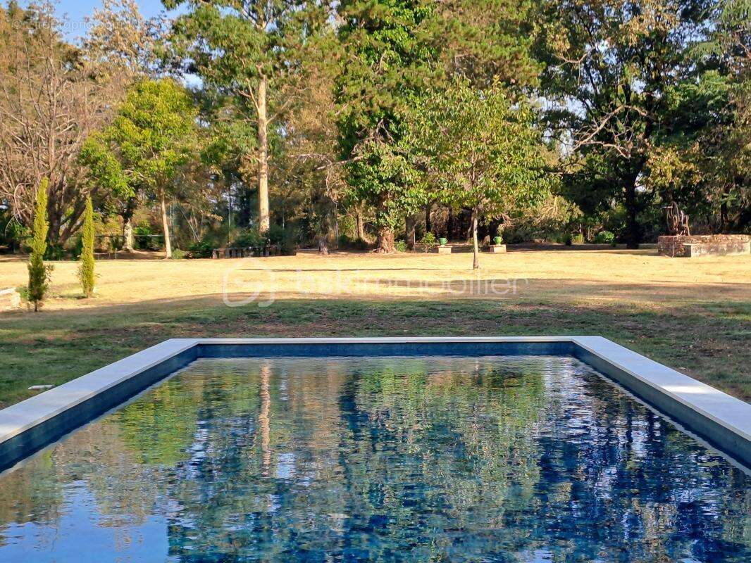 Propriete avec parc, dependance et piscine - photo 20