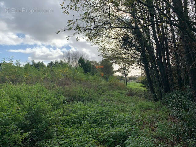 Terrain à SAINT-THOMAS-DE-CONAC