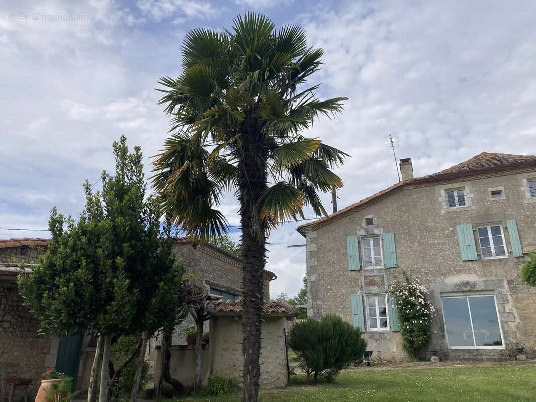 Maison avec 4 chambres, dépéndances et piscine - photo 28