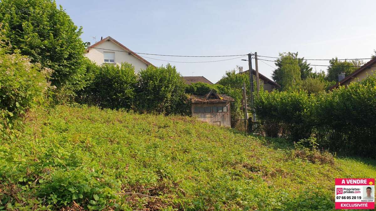 Terrain à BETHONCOURT