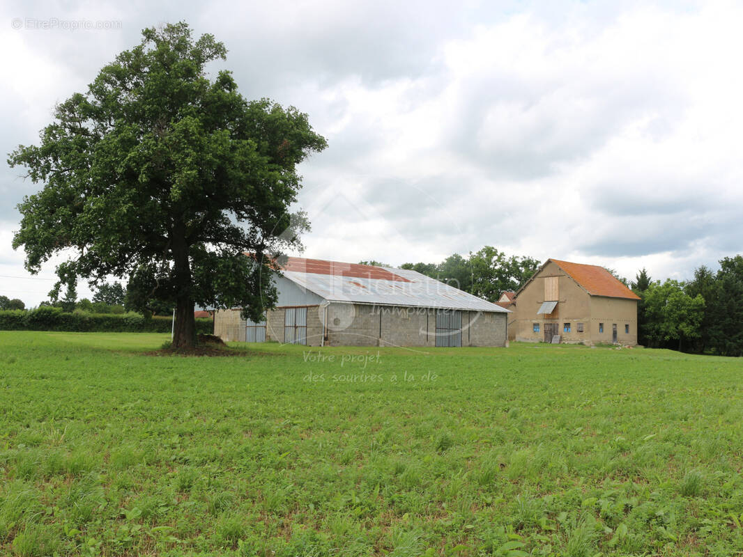 Maison à MONTAIGU-LE-BLIN