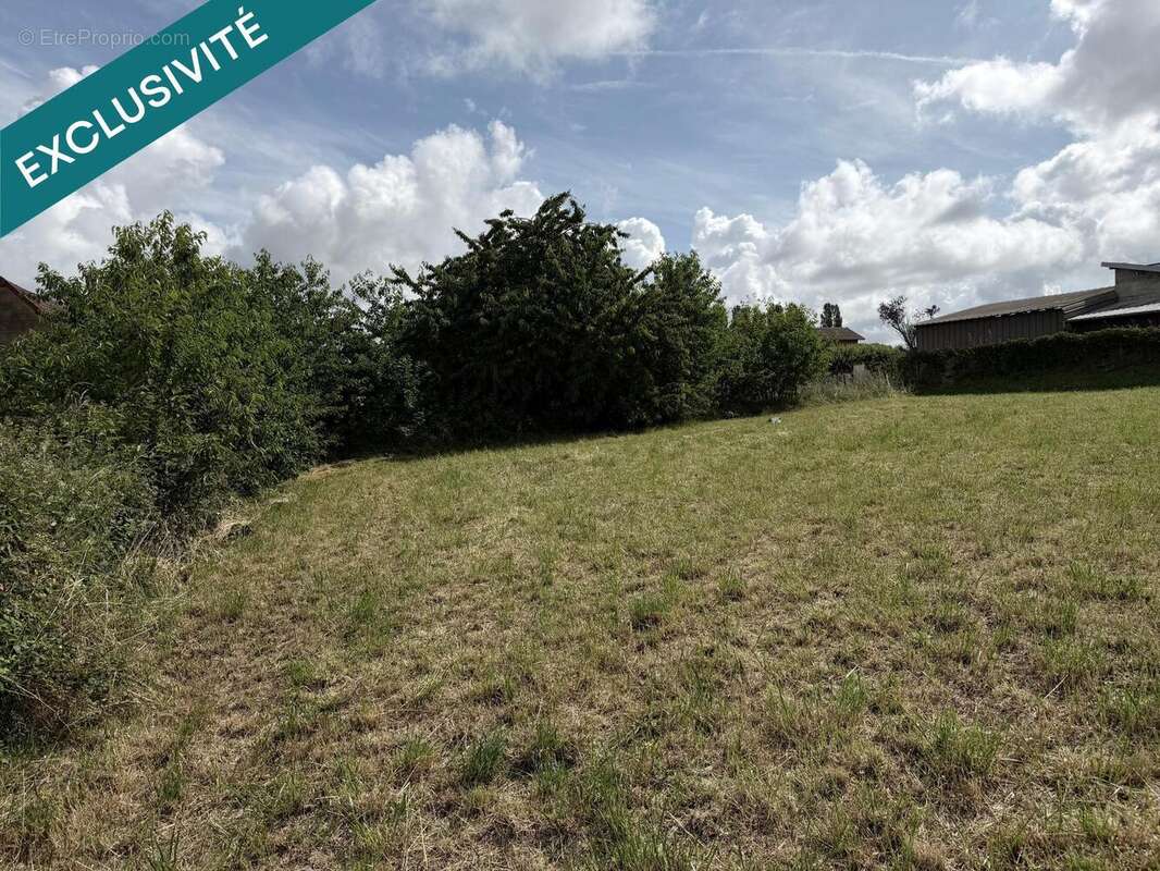 Terrain 810 m² à Bersaillin  - photo 4