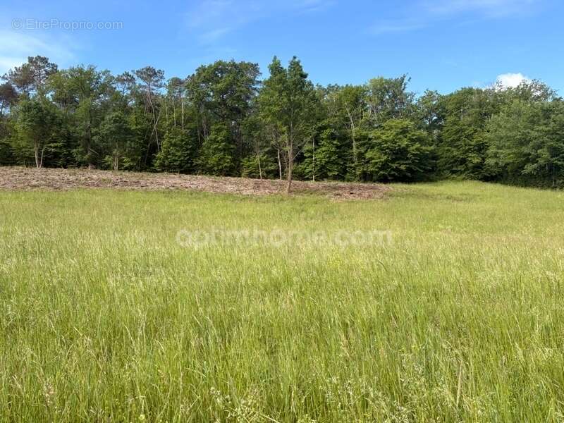 Terrain à bâtir situé à moins de 10 minutes environ de PERIGUEUX - photo 2