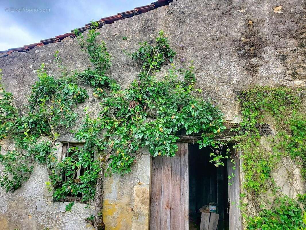 Photo 5 - Maison à MARON