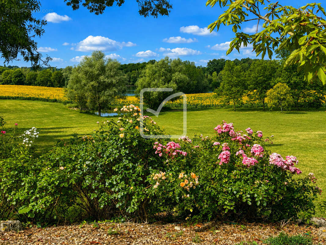 Maison T5 avec piscine, 4 chambres - étang - dépendances et plus de 2,14 hectares de terrain - Un cadre de vie - photo 6