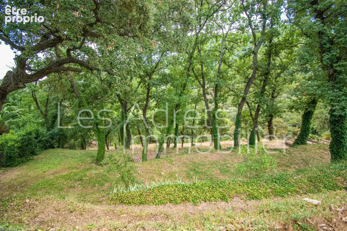 Maison au calme avec 4 chambres, grand terrain et superbe potentiel - photo 25