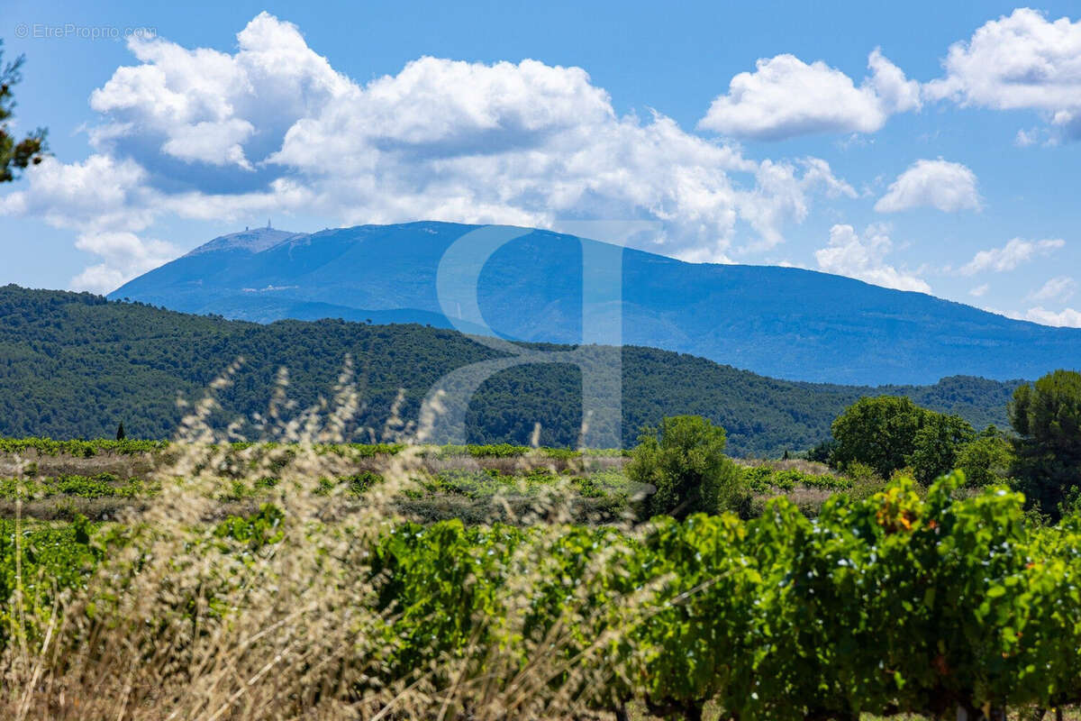 Maison à VAISON-LA-ROMAINE