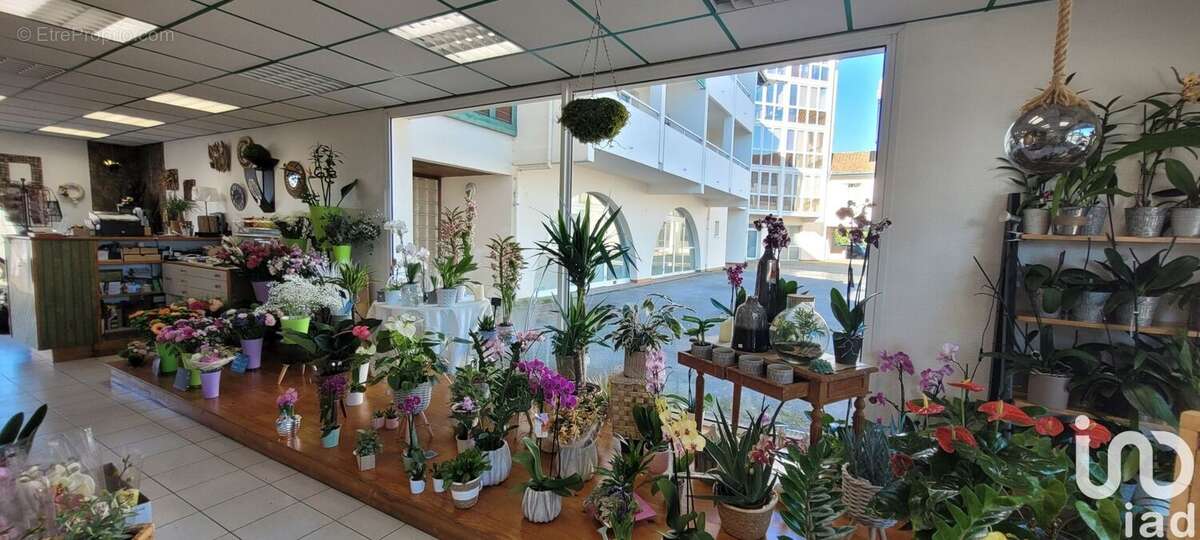 Photo 6 - Commerce à TARNOS