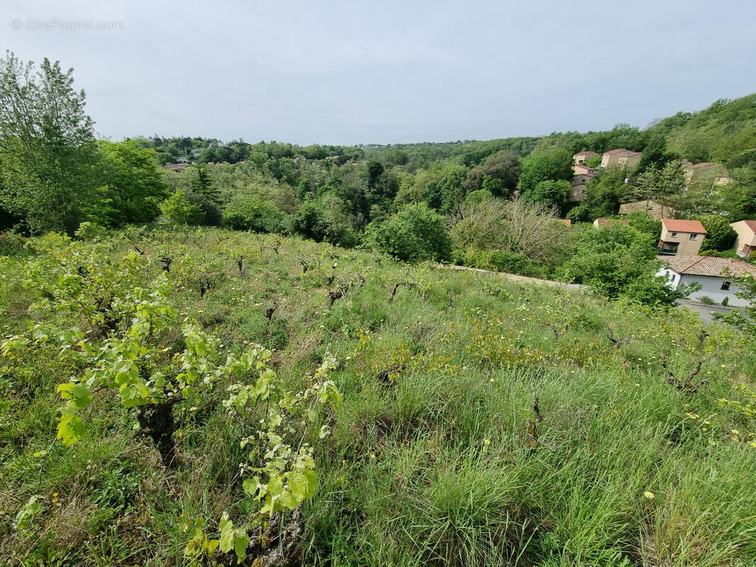 Terrain à CASTANET-TOLOSAN
