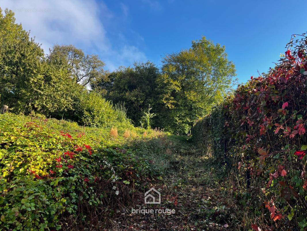 Maison à MONS-EN-PEVELE