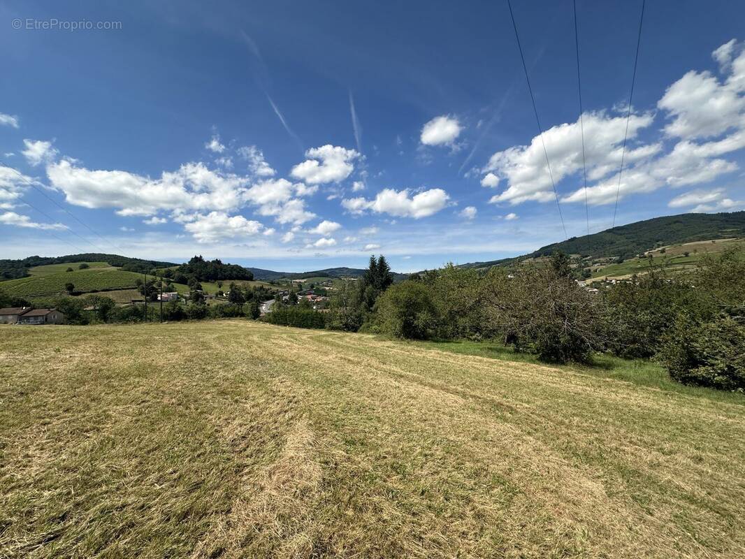 Terrain à SAINT-DIDIER-SUR-BEAUJEU