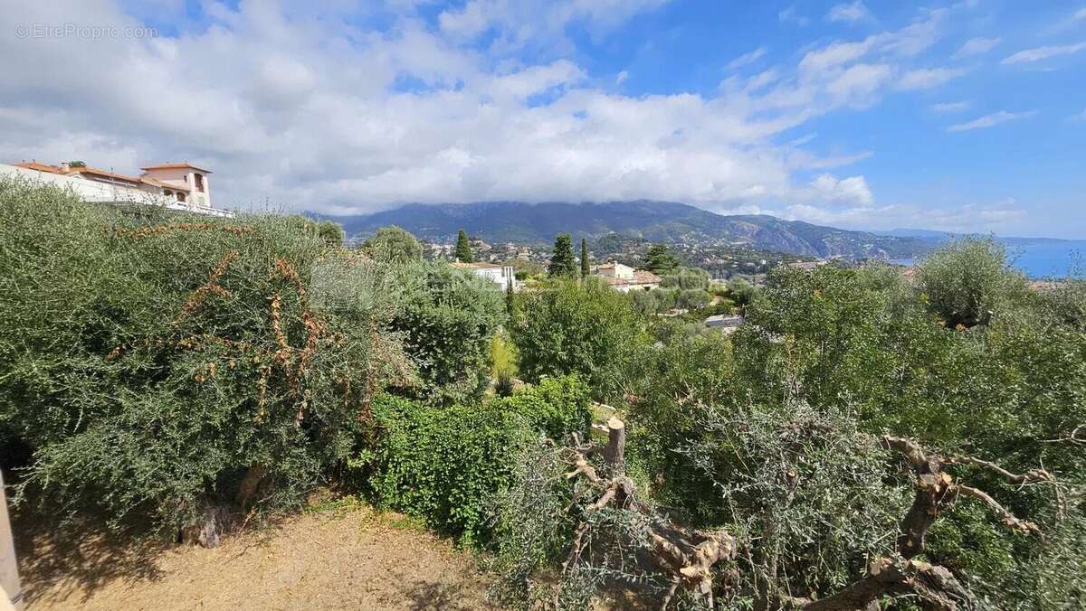 Villa eblouissante quartier madone a menton - photo 40