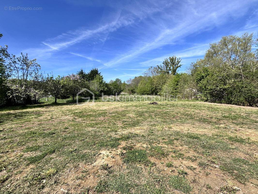 Terrain à RABASTENS
