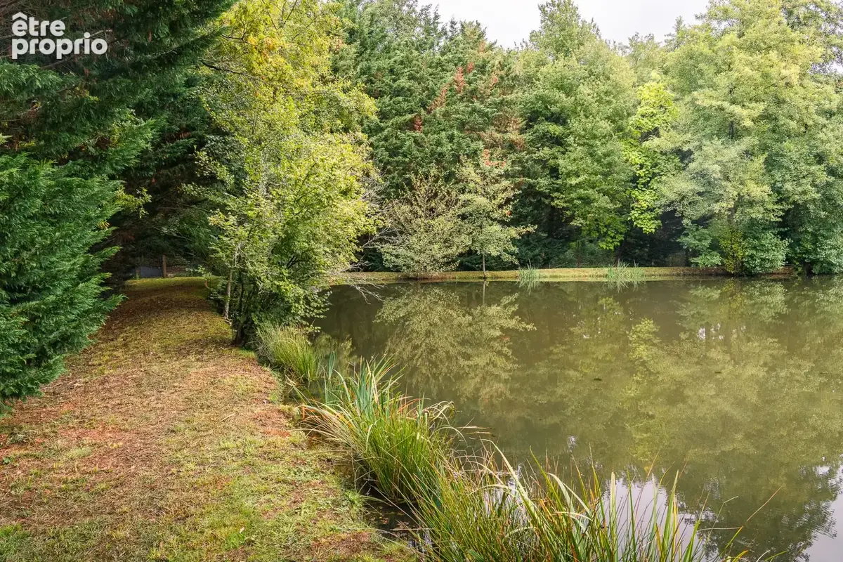 Terrain 4 215 m² à vendre à Fougerolles (36230) - photo 5
